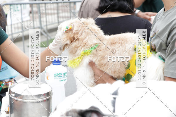 Buy your photos of the event13� C�ominhada - Santos on Fotop