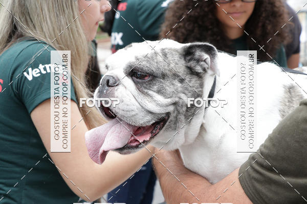 Buy your photos of the event13� C�ominhada - Santos on Fotop