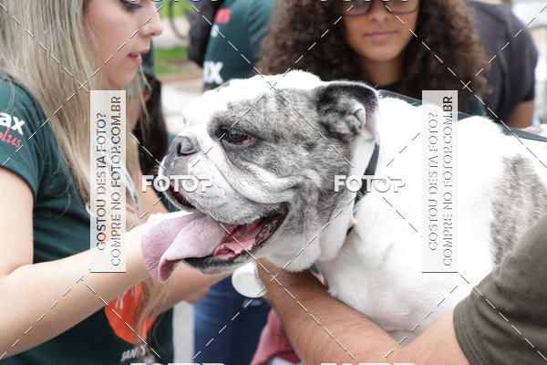 Buy your photos of the event13� C�ominhada - Santos on Fotop