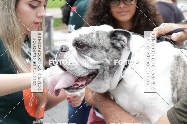 Buy your photos of the event13� C�ominhada - Santos on Fotop