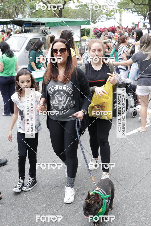 Buy your photos of the event13� C�ominhada - Santos on Fotop