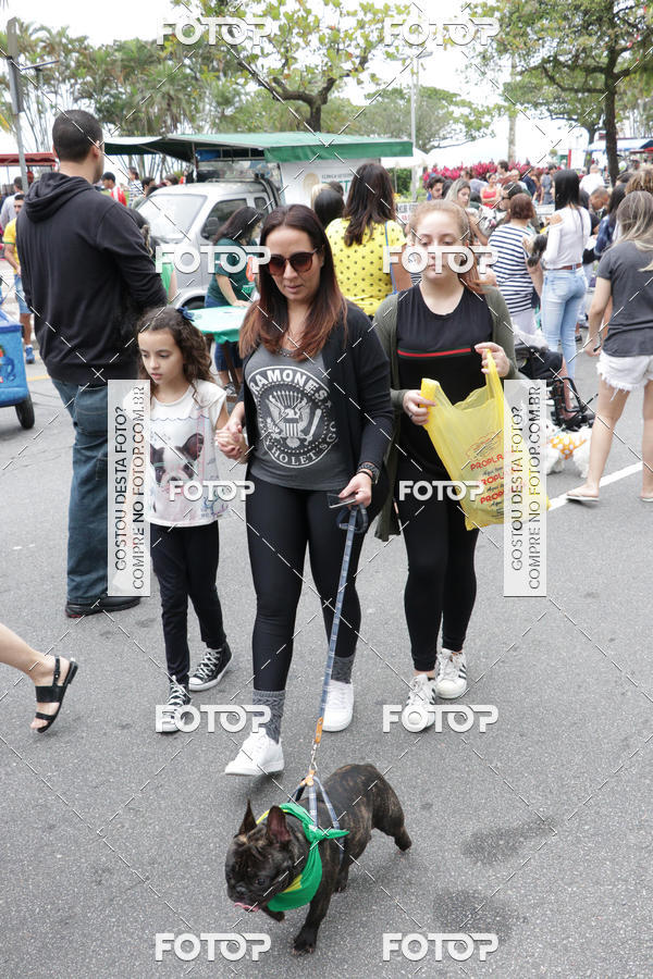 Buy your photos of the event13� C�ominhada - Santos on Fotop