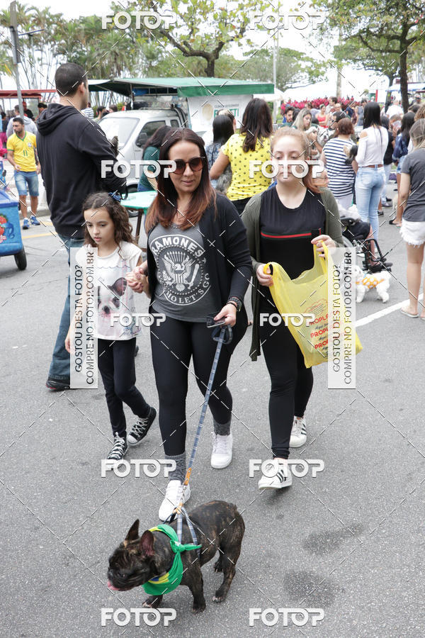 Buy your photos of the event13� C�ominhada - Santos on Fotop