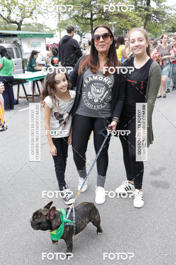 Buy your photos of the event13� C�ominhada - Santos on Fotop