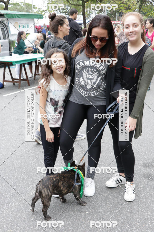 Buy your photos of the event13� C�ominhada - Santos on Fotop