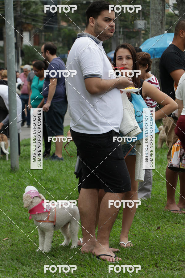 Buy your photos of the event13� C�ominhada - Santos on Fotop