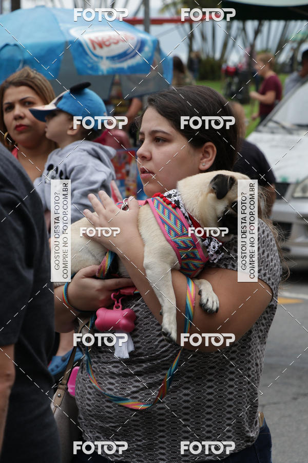 Buy your photos of the event13� C�ominhada - Santos on Fotop