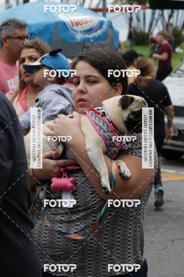 Buy your photos of the event13� C�ominhada - Santos on Fotop