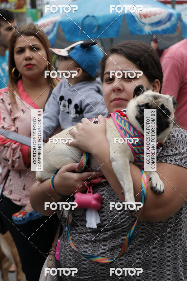 Buy your photos of the event13� C�ominhada - Santos on Fotop