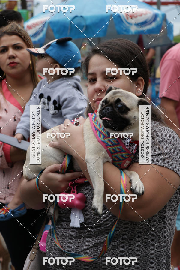 Buy your photos of the event13� C�ominhada - Santos on Fotop
