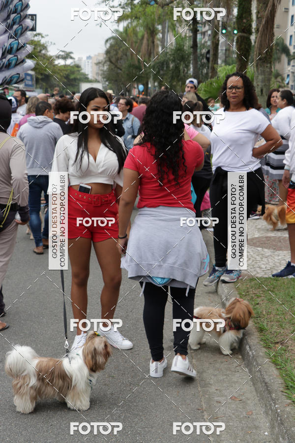 Buy your photos of the event13� C�ominhada - Santos on Fotop
