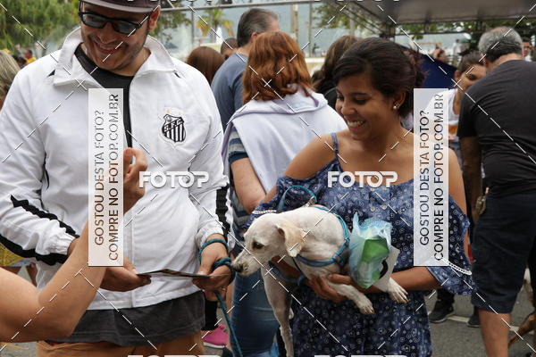 Buy your photos of the event13� C�ominhada - Santos on Fotop