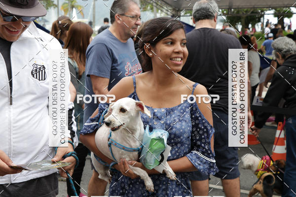 Buy your photos of the event13� C�ominhada - Santos on Fotop