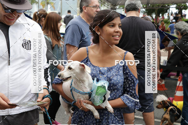 Buy your photos of the event13� C�ominhada - Santos on Fotop