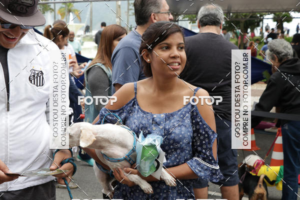 Buy your photos of the event13� C�ominhada - Santos on Fotop