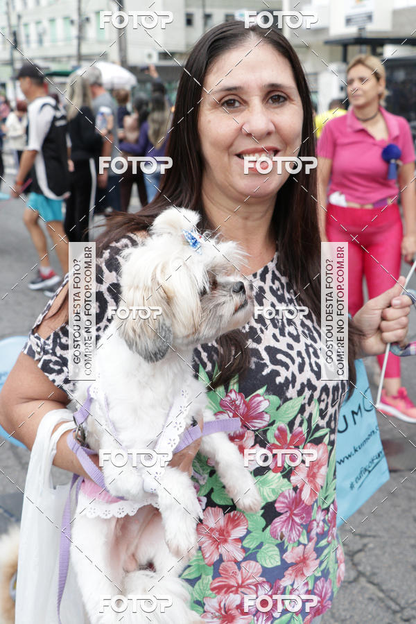 Buy your photos of the event13 Cominhada - Santos on Fotop