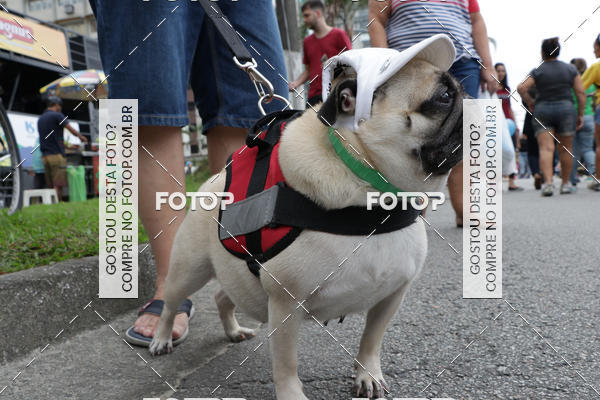 Buy your photos of the event13 Cominhada - Santos on Fotop