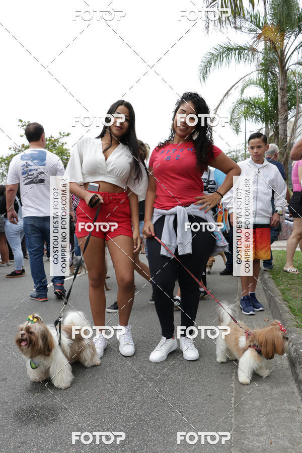 Buy your photos of the event13� C�ominhada - Santos on Fotop