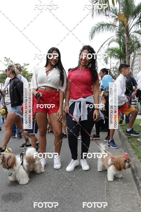 Buy your photos of the event13� C�ominhada - Santos on Fotop