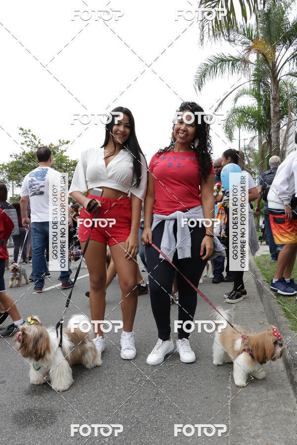 Buy your photos of the event13� C�ominhada - Santos on Fotop