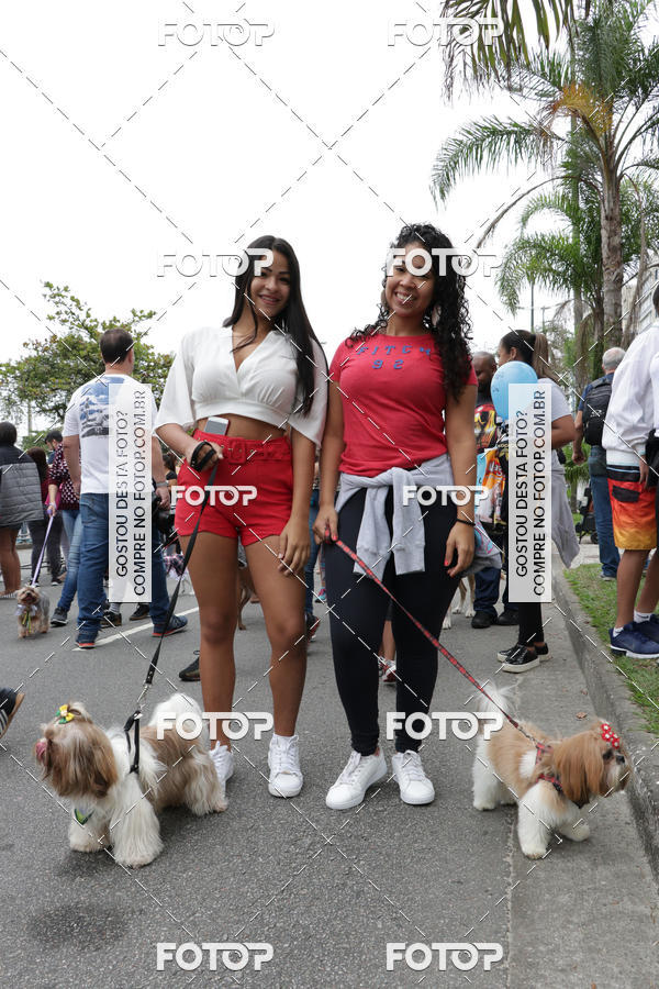 Buy your photos of the event13� C�ominhada - Santos on Fotop