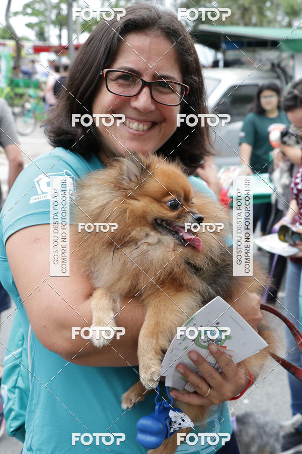 Buy your photos of the event13� C�ominhada - Santos on Fotop