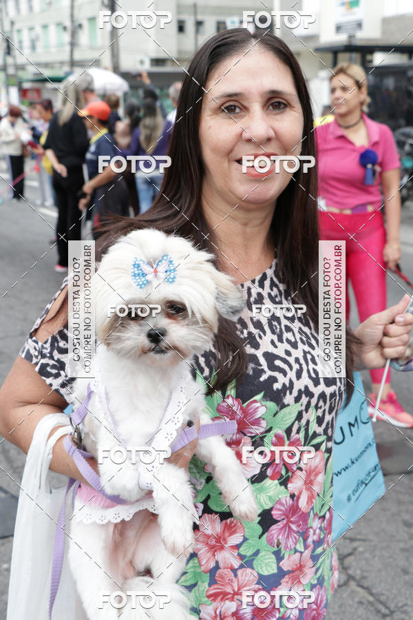 Buy your photos of the event13 Cominhada - Santos on Fotop