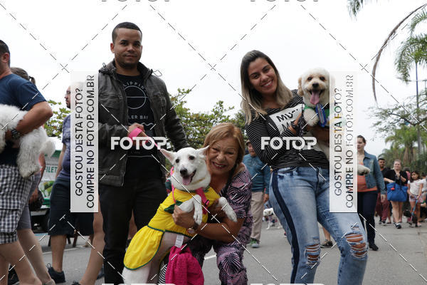 Buy your photos of the event13� C�ominhada - Santos on Fotop