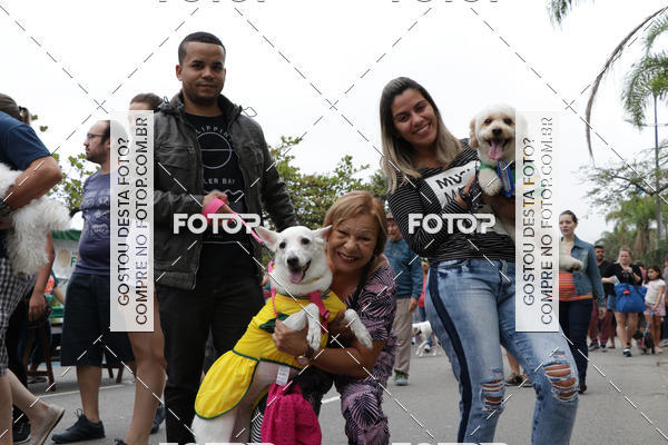 Buy your photos of the event13� C�ominhada - Santos on Fotop