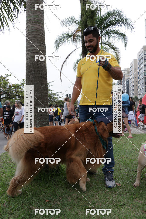 Buy your photos of the event13� C�ominhada - Santos on Fotop