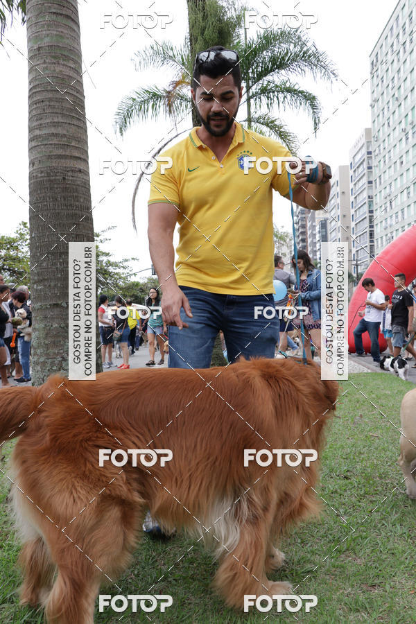 Buy your photos of the event13� C�ominhada - Santos on Fotop