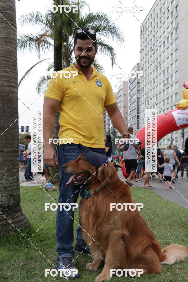Buy your photos of the event13� C�ominhada - Santos on Fotop