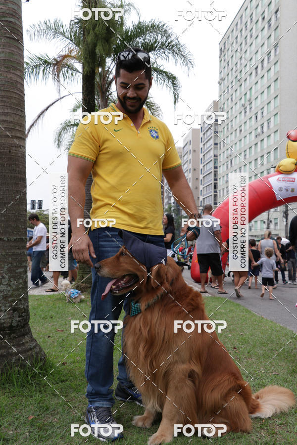 Buy your photos of the event13� C�ominhada - Santos on Fotop