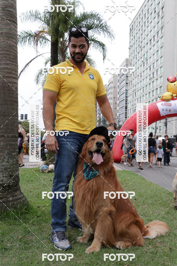 Buy your photos of the event13� C�ominhada - Santos on Fotop
