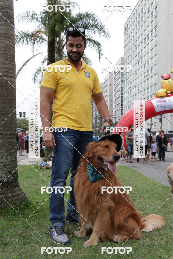 Buy your photos of the event13� C�ominhada - Santos on Fotop