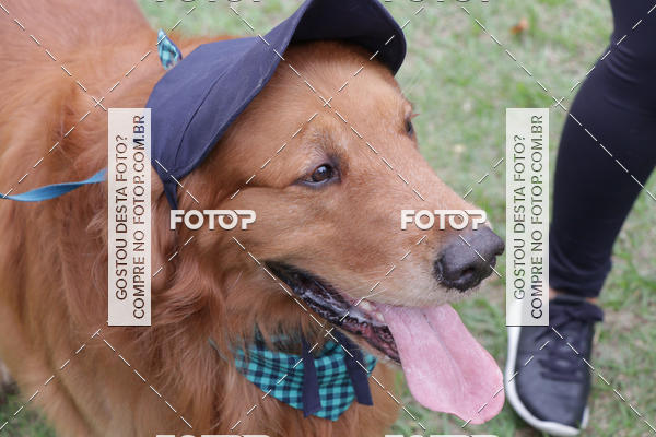 Buy your photos of the event13� C�ominhada - Santos on Fotop