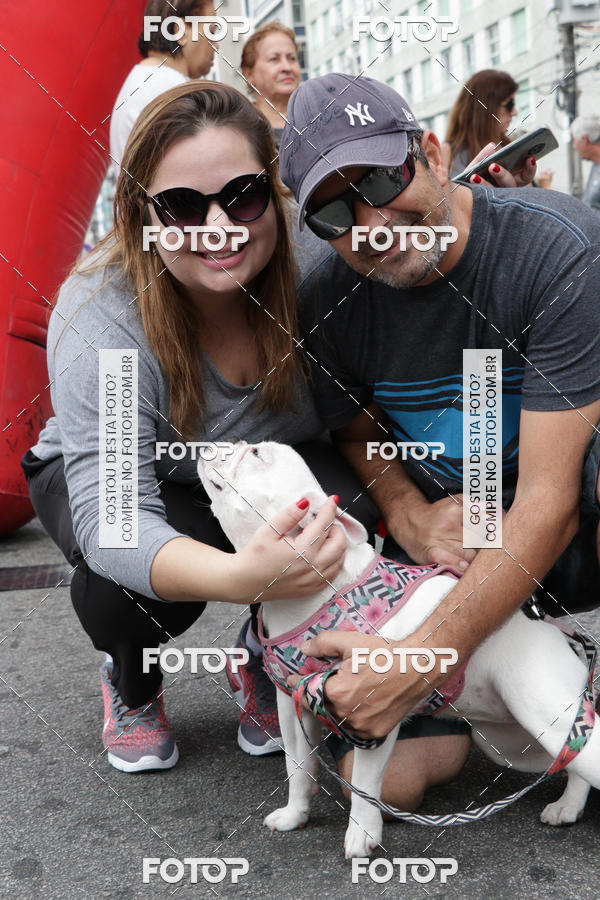 Buy your photos of the event13 Cominhada - Santos on Fotop