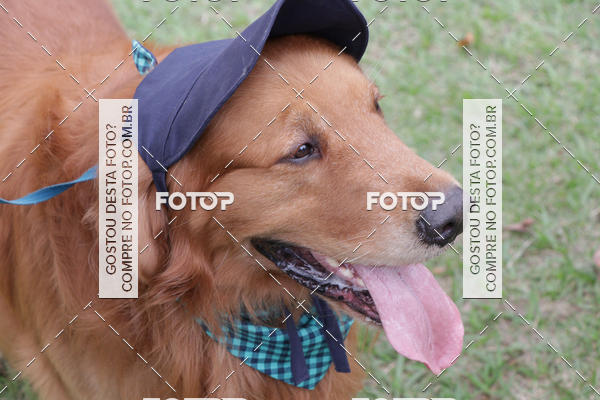 Buy your photos of the event13� C�ominhada - Santos on Fotop