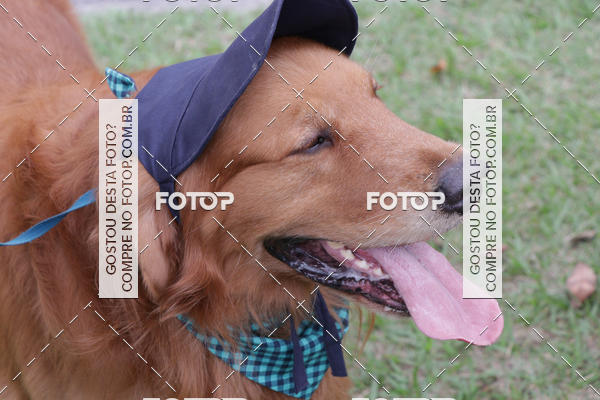 Buy your photos of the event13� C�ominhada - Santos on Fotop