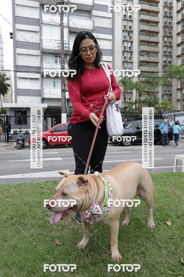 Buy your photos of the event13� C�ominhada - Santos on Fotop