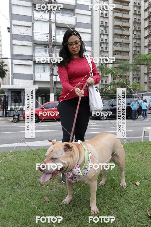 Buy your photos of the event13� C�ominhada - Santos on Fotop