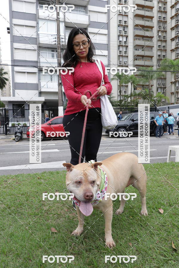 Buy your photos of the event13� C�ominhada - Santos on Fotop