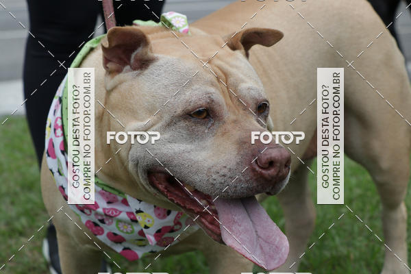 Buy your photos of the event13� C�ominhada - Santos on Fotop