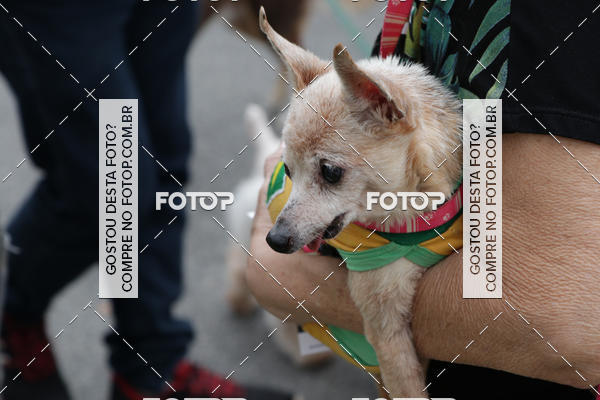 Buy your photos of the event13� C�ominhada - Santos on Fotop