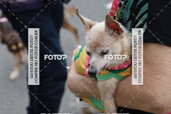 Buy your photos of the event13� C�ominhada - Santos on Fotop