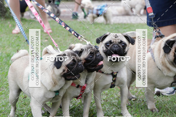 Buy your photos of the event13� C�ominhada - Santos on Fotop