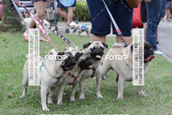 Buy your photos of the event13� C�ominhada - Santos on Fotop