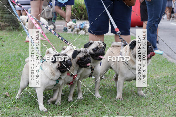 Buy your photos of the event13� C�ominhada - Santos on Fotop