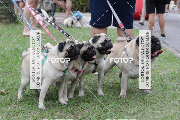 Buy your photos of the event13� C�ominhada - Santos on Fotop