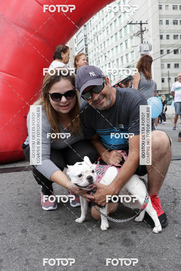 Buy your photos of the event13� C�ominhada - Santos on Fotop